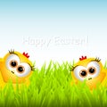 Easter card with funny chickens