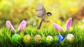 Easter card with one bird tit flying in spring sunrise Sunny day over Royalty Free Stock Photo