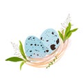 Easter card. Quail nest. Spring background.