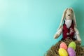 Easter card with rabbit, eggs in the nest, space for text on a blue background Royalty Free Stock Photo