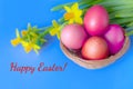 Easter card with red eggs in a wicker basket and daffodil flowers. Blue color. happy Easter. soft focus