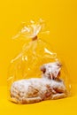Easter card template. Close-up of a traditional Easter lamb cake in a transparent wrapper on a yellow table and background. Copy Royalty Free Stock Photo