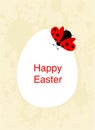 Easter card with white egg, ladybug and Happy Easter wishes on Gray splash background - vector