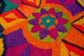 Easter carpets in antigua guatemala Royalty Free Stock Photo