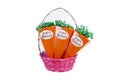 Easter Carrot