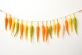 Easter Carrots Garland Isolated on White