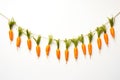 Easter Carrots Garland Isolated on White