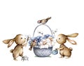 Easter cartoon bunny with Basket flowers and sparrow. Hand drawn isloated Easter farm animals set on white background