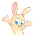 Easter cartoon bunny rabbit excited Royalty Free Stock Photo