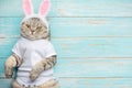 Easter cat with rabbit ears. Banner, Easter screensaver for design