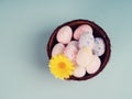 Easter celebration card - selective focus of natural coloured easter eggs eggs in coconut shell, gypsophila flowers, pink Royalty Free Stock Photo