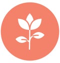 Bloom, blooming flower Isolated Vector icon which can easily modify or edit Bloom, blooming flower Isolated Vector icon which can Royalty Free Stock Photo