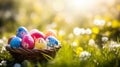 Easter Celebration Hand-Painted Eggs in Wicker Basket on Lush Grass Under Radiant Spring Sunshine Royalty Free Stock Photo