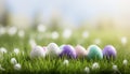 easter celebration lush green grass in vibrant spring scene with white or yellow background Royalty Free Stock Photo