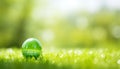 Easter celebration lush green grass in vibrant spring scene with white or yellow background Royalty Free Stock Photo