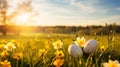 Easter celebration vibrant spring scene with lush green grass on white or yellow background Royalty Free Stock Photo