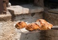 Easter cheese Pastries