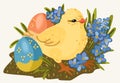 Easter chick with colored decorative Easter eggs and spring flowers. Vector isolated illustration Royalty Free Stock Photo