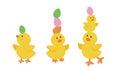 Easter cute yellow chick with egg on head flat vector illustration set. Royalty Free Stock Photo