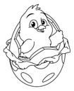 Easter Chick Egg Coloring Book Page Cartoon