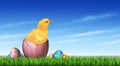 Easter Chick Egg Hunt Royalty Free Stock Photo