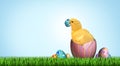 Easter Chick Egg Hunt Royalty Free Stock Photo