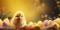 Easter Chick with eggs and place for text over natural background