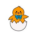 An Easter Chick hatching from an egg. Royalty Free Stock Photo
