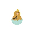 Easter chick hatching from an egg flat icon Royalty Free Stock Photo