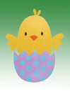 Easter Chick Hatching on green gradient background Royalty Free Stock Photo