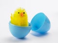 Easter Chick Hatching Out Of Egg Royalty Free Stock Photo