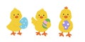 Set of Easter cute yellow chick holding egg flat vector illustration isolated. Royalty Free Stock Photo
