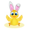 Easter chick and rabbit ears Royalty Free Stock Photo