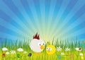 Easter - Chick and rooster on green meadow