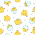 Easter chick seamless pattern, cute baby chicken egg background, young yellow bird print, cartoon funny farm textile, animal Royalty Free Stock Photo
