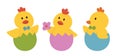Easter Chick Sitting in Eggshells Flat Vector Illustration Set. Cute Spring Easter Chicken Clipart. Royalty Free Stock Photo
