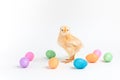 Easter chick standing among glitter eggs Royalty Free Stock Photo