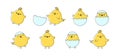 Easter chick vector icon, cartoon chicken baby and egg, cute little bird, yellow funny animal set. Simple drawing illustration Royalty Free Stock Photo