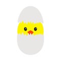 Easter Chicken In Egg Icon Royalty Free Stock Photo