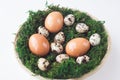 Easter.Chicken eggs and quail eggs lie in a basket with moss on a white background, top view. Spring, April