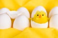 Easter chicken hatched out of white egg Royalty Free Stock Photo