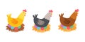 Easter chicken with holiday eggs isolated on white. Cartoon vector hand drawn eps 10 illustration isolated on dark