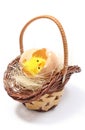 Easter chicken in wicker basket and broken eggshell Royalty Free Stock Photo