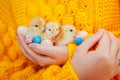 Easter chicken. Woman holding three orange chicks in hand surrounded with Easter eggs. Royalty Free Stock Photo
