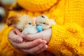 Easter chicken. Woman holding three orange chicks in hand surrounded with Easter eggs. Royalty Free Stock Photo