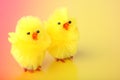 Easter chickens Royalty Free Stock Photo