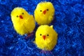 Easter chickens Royalty Free Stock Photo