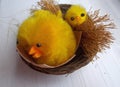 Easter chickens Royalty Free Stock Photo