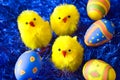 Easter chickens and eggs Royalty Free Stock Photo
