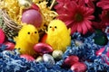 Easter Chicks